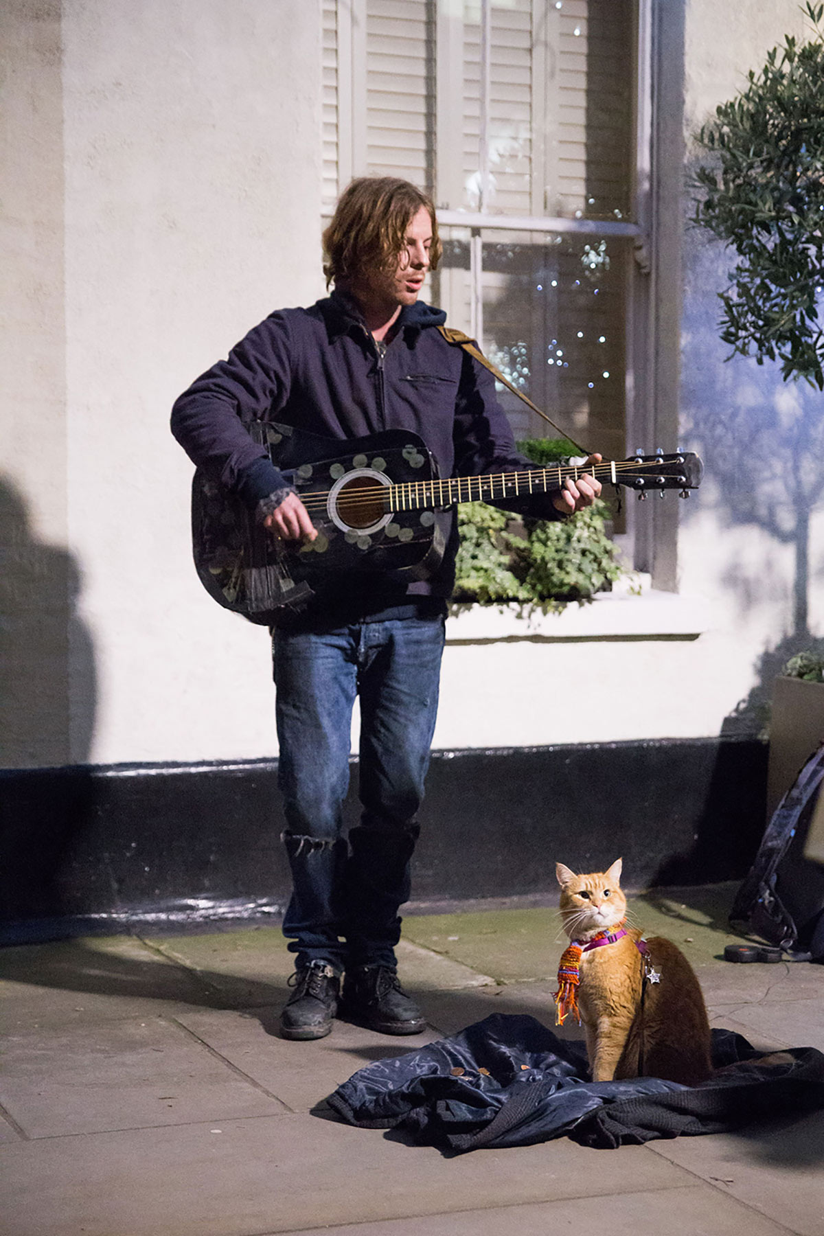 Luke Treadaway i rollen som James Bowen og ved hans side katten Bob (som seg selv).